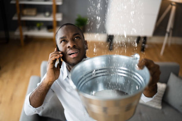 Best Sewage cleanup and water damage restoration  in Woodland Beach, MI