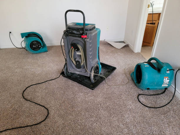 Best Ceiling water damage repair  in Woodland Beach, MI