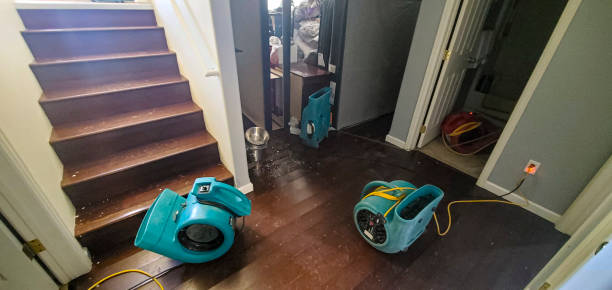 Best Flood restoration services  in Woodland Beach, MI