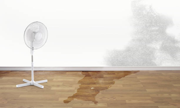 Best Fire Damage Restoration  in Woodland Beach, MI