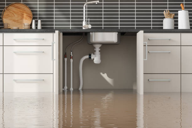 Best Water damage restoration near me  in Woodland Beach, MI