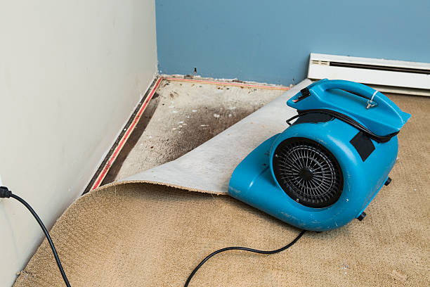 Best Water damage contractors near me  in Woodland Beach, MI